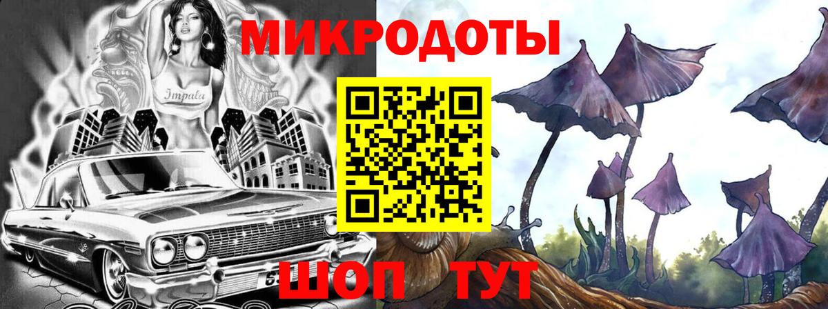 Псилоцибиновые грибы мухоморы Северск